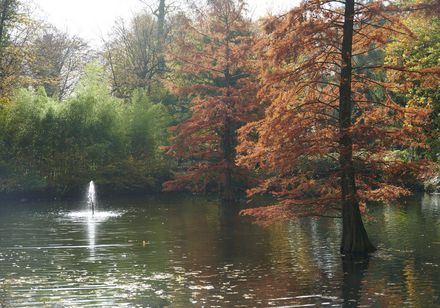 Der herbstliche Kurpark in Bad Oeynhausen