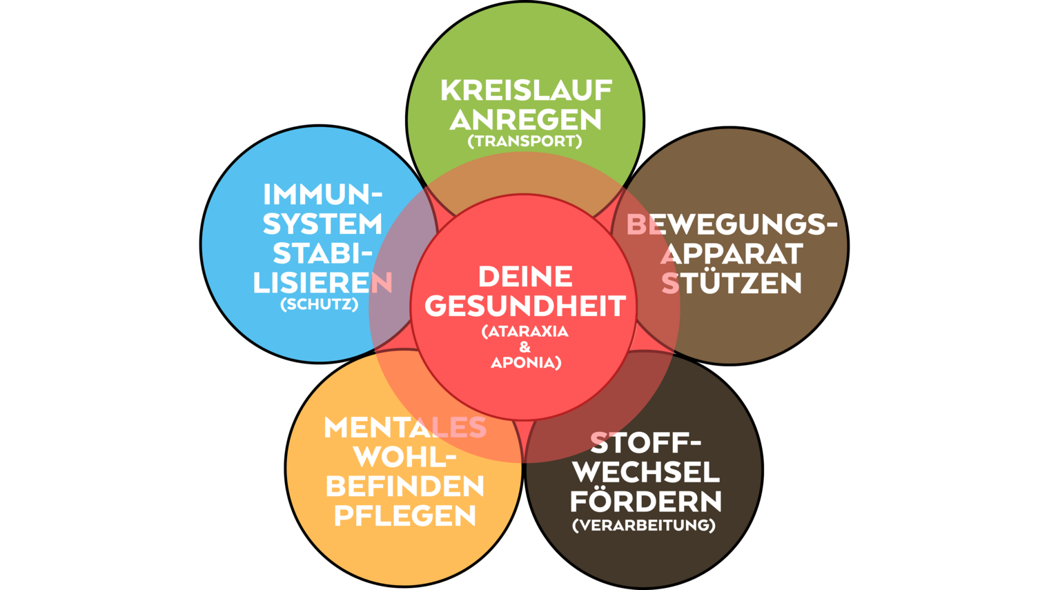 Grafik zu den fünf Gesundheitszielen der vier Kraftquellen: Kreislauf aktivieren, Immunsystem stärken, Stoffwechsel fördern, mentales Wohlbefinden pflegen, Bewegungsapparat unterstützen