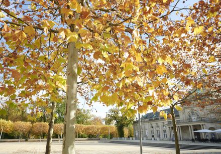 Der herbstliche Kurpark in Bad Oeynhausen
