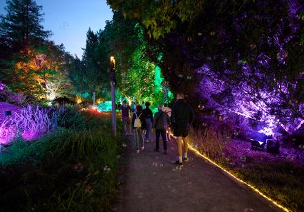 Die Seifenblasen-Gasse im Kurpark Bad Oeynhausen im Rahmen der Parklichter am Samstag zum Veranstaltungsmotto "Feel the 90s". Abends sehr schön illuminiert. 