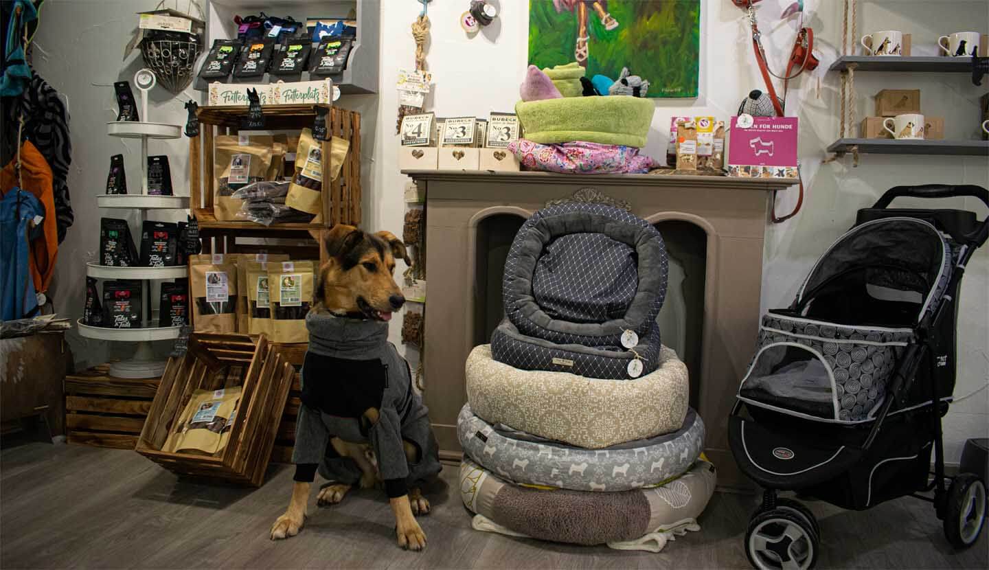 Hund steht im Verkaufsraum der Hundeboutique "Hundegeschichten"